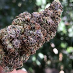 User uploaded image of Blueberry Headband