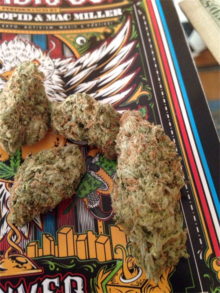 Blueberry Jack aka Blue Jack Weed Strain Information Leafly