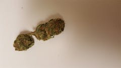 User uploaded image of Blueberry Jack