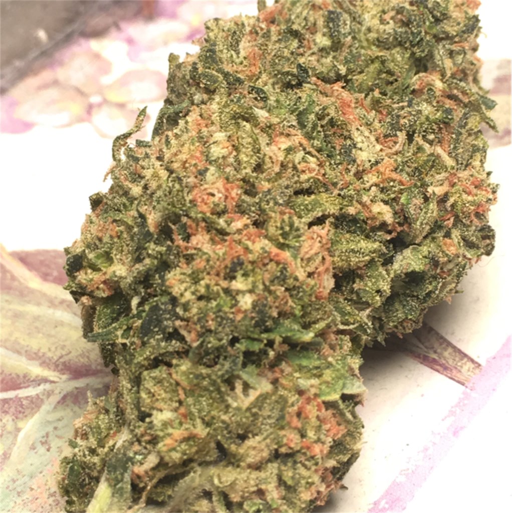 Sour Blueberry Kush - Dr.Ganja