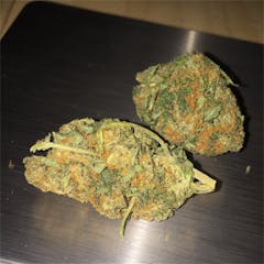 User uploaded image of Blueberry Kush