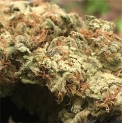 User uploaded image of Blueberry Kush