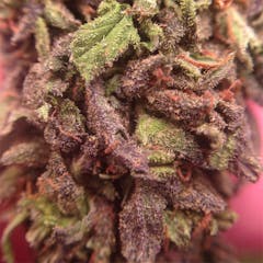 User uploaded image of Blueberry Lambsbread