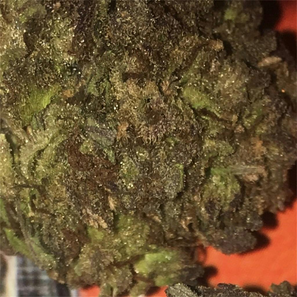 Blueberry Muffin aka Blueberry Muffins Weed Strain Information Leafly