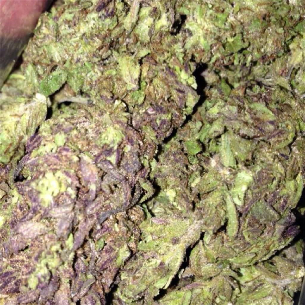 Blueberry Muffin aka Blueberry Muffins Weed Strain Information Leafly