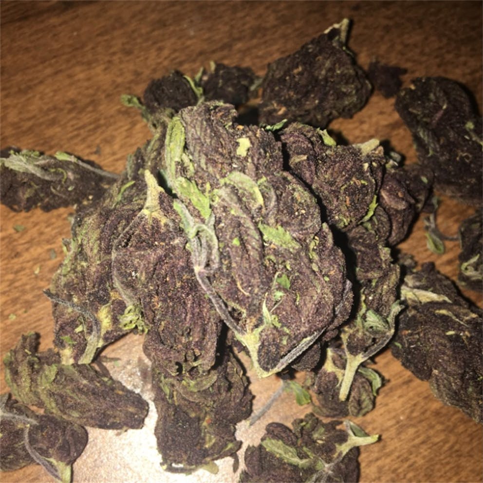 Photos of Blueberry Muffin Weed Strain Buds Leafly