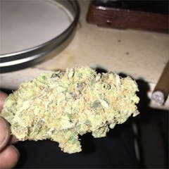 User uploaded image of Blueberry OG