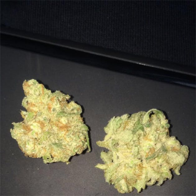 Photos of Blueberry Pancakes Weed Strain Buds Leafly