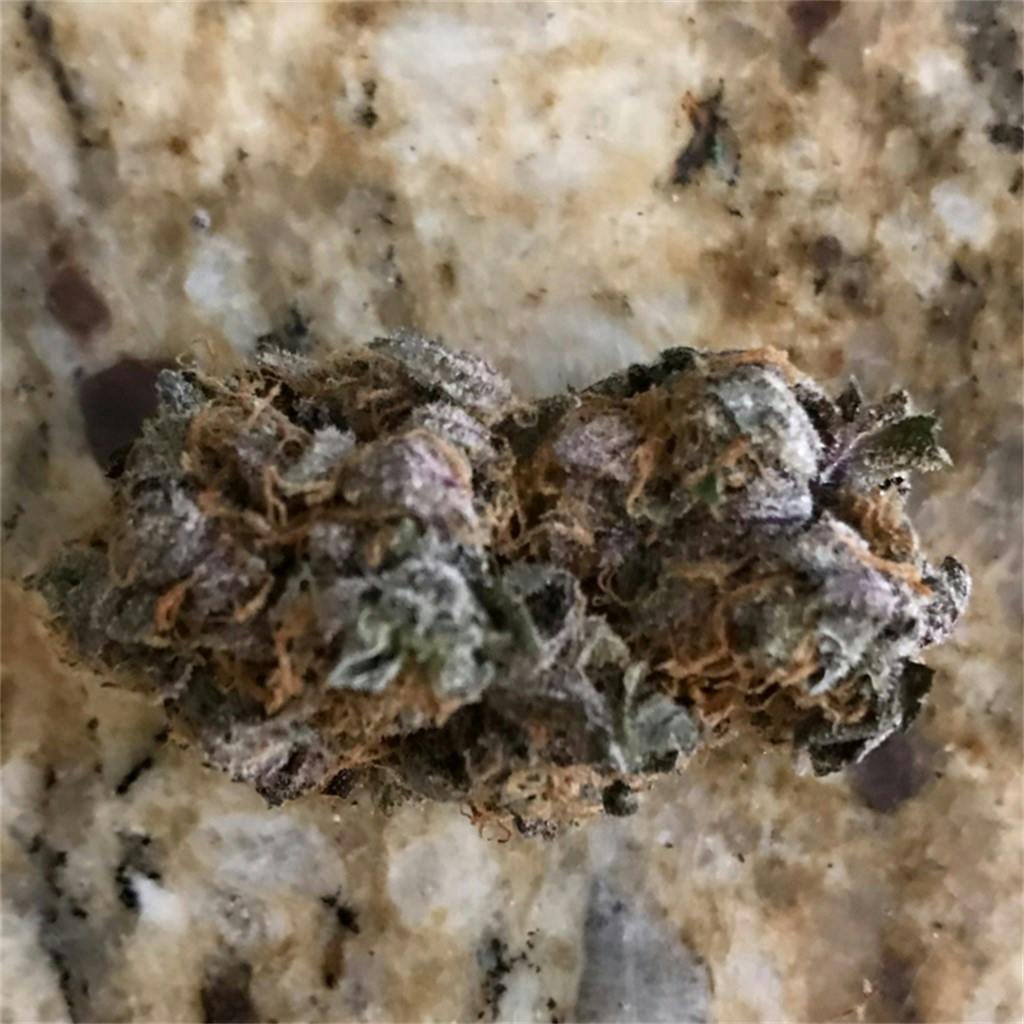 Blueberry Pancakes Weed Strain Information Leafly