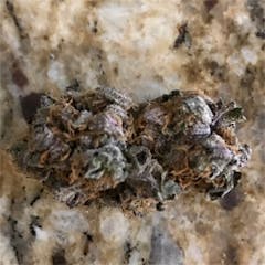 User uploaded image of Blueberry Pancakes