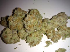 User uploaded image of Blueberry Pie