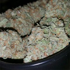 User uploaded image of Blueberry Pie