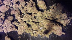 User uploaded image of Blueberry Skunk