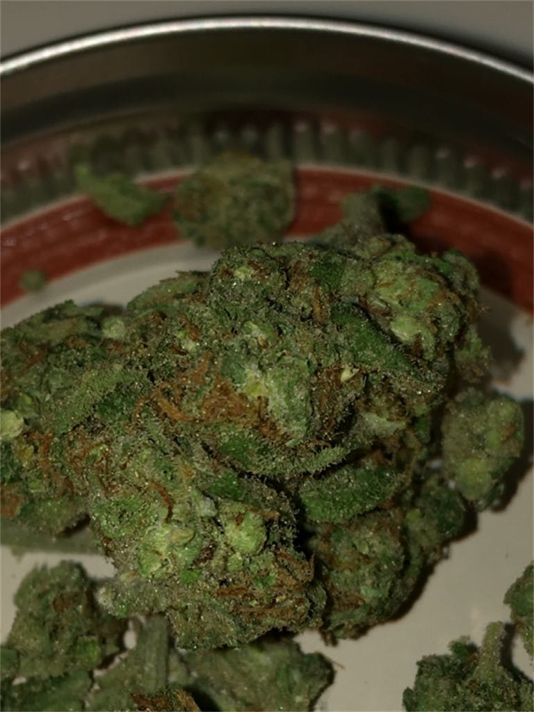 Blueberry Skunk aka Blue Skunk, Maryhill Skunkberry Weed Strain