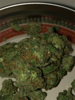 User uploaded image of Blueberry Skunk