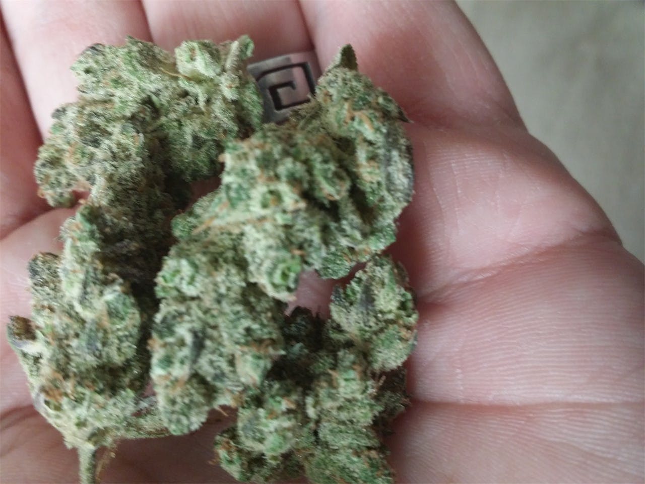 Blueberry Skunk aka Blue Skunk, Maryhill Skunkberry Weed Strain