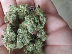 User uploaded image of Blueberry Skunk