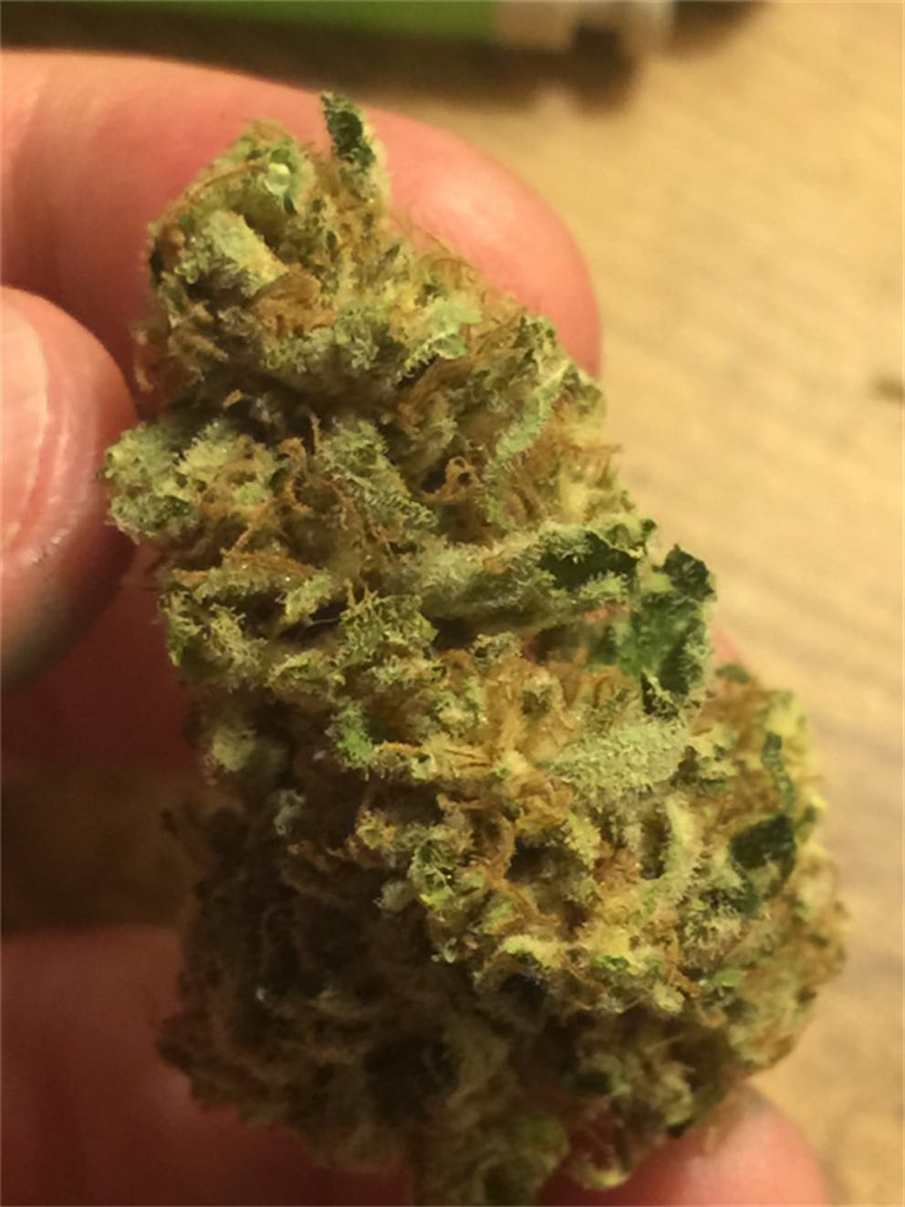 Photos of Blueberry Skunk Weed Strain Buds | Leafly