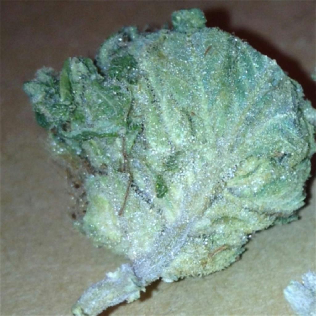 Blueberry Skunk aka Blue Skunk, Maryhill Skunkberry Weed Strain