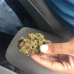 User uploaded image of Blueberry Waltz