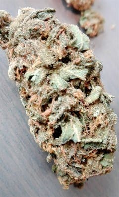 User uploaded image of Blueberry Yum Yum