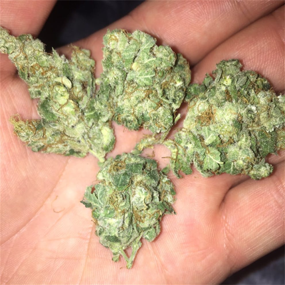 Photos of Blueberry Weed Strain Buds Leafly