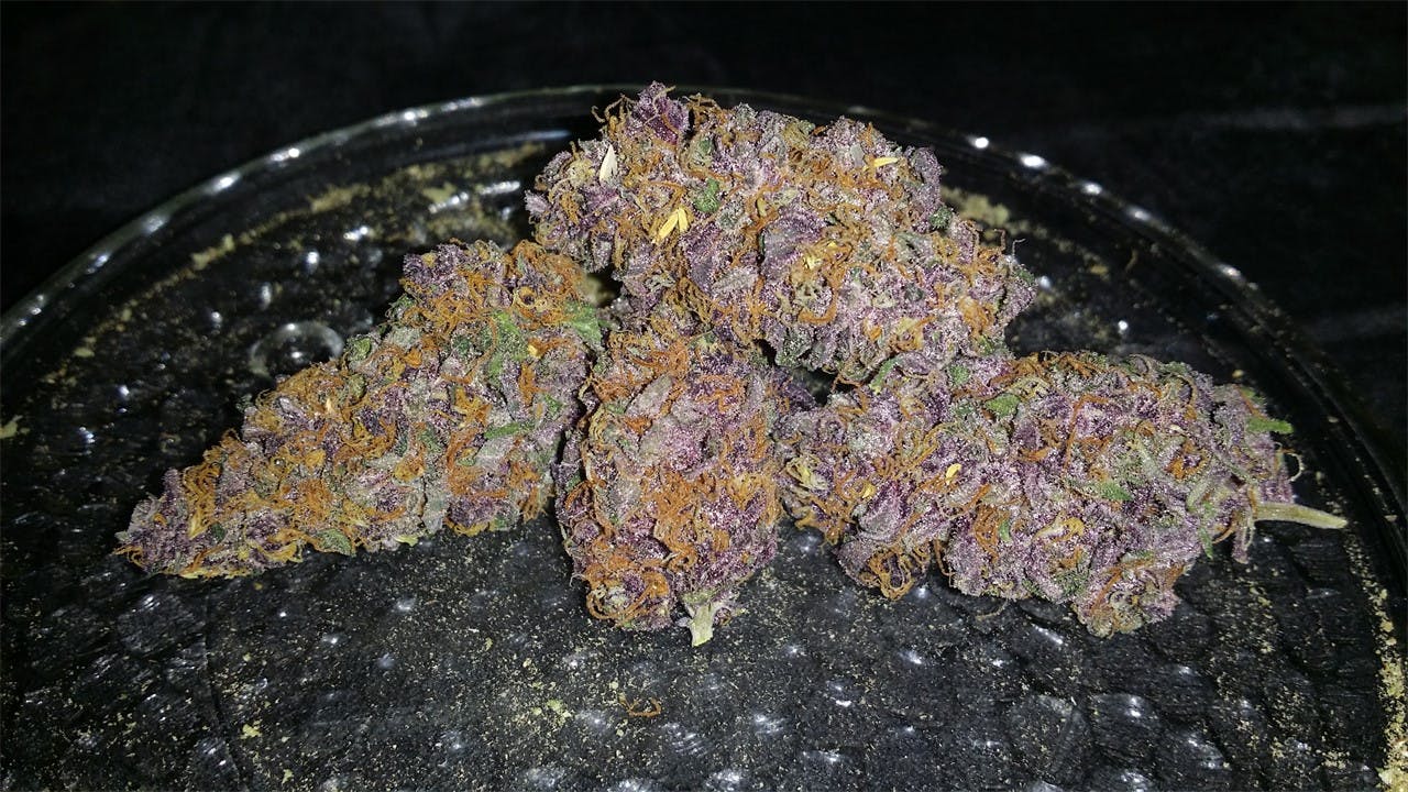 Photos of Blueberry Weed Strain Buds Leafly