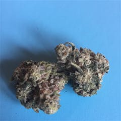 User uploaded image of Blueberry