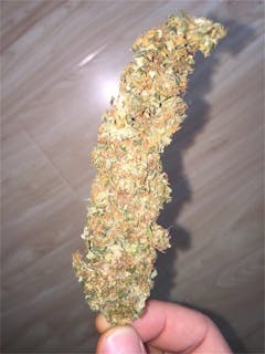 User uploaded image of Blues