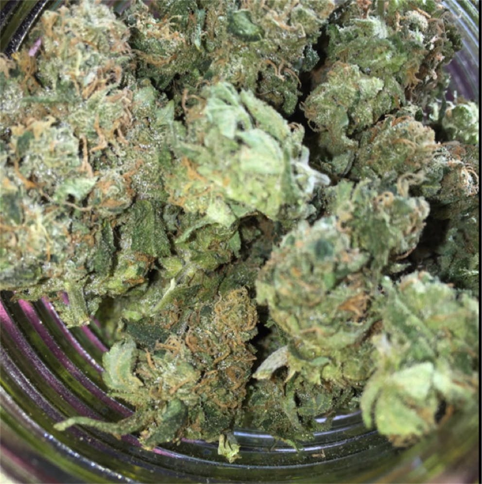 Photos of Blues Weed Strain Buds Leafly