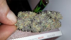 User uploaded image of Bluniverse