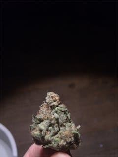 User uploaded image of Bluniverse