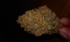 User uploaded image of Blurple