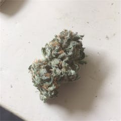 User uploaded image of Blush