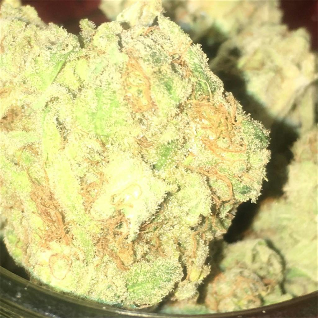 BOG Bubble Weed Strain Information Leafly