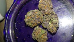 User uploaded image of Bogart