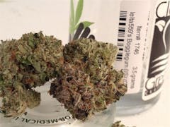 User uploaded image of Boggle Gum