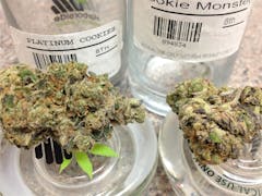 User uploaded image of Boggle Gum