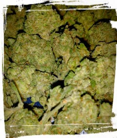 User uploaded image of Boggle Gum