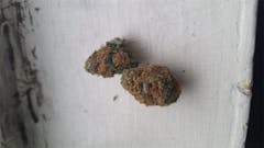 User uploaded image of Boggle Gum