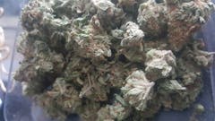 User uploaded image of Booger