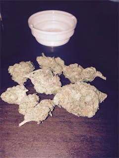 User uploaded image of Booger