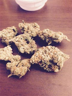 User uploaded image of Booger