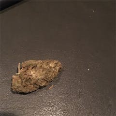 User uploaded image of Boombaye