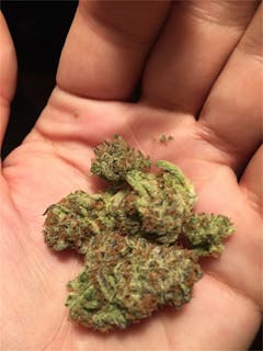 User uploaded image of Bordello