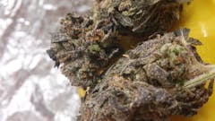 User uploaded image of Bordello