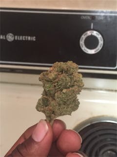 User uploaded image of Boss Hogg