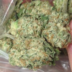 User uploaded image of Boss Hogg