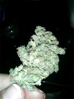 User uploaded image of Boysenberry