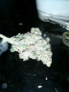 User uploaded image of Boysenberry